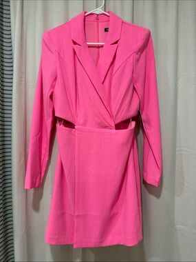 Express Hot Pink Long Sleeve Wrap Dress